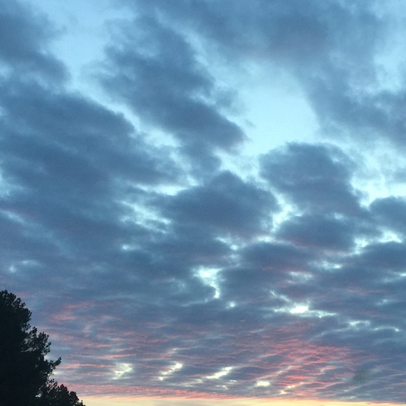 Meet your Posher, Lisa - Picture 4 of 8